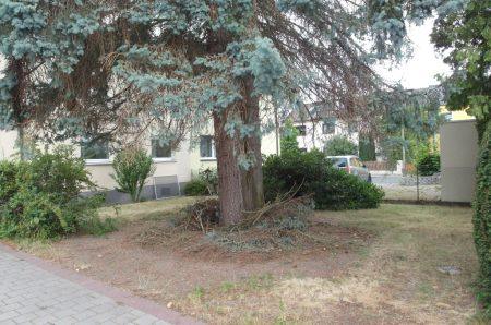 Vorgarten Pic1 TS174