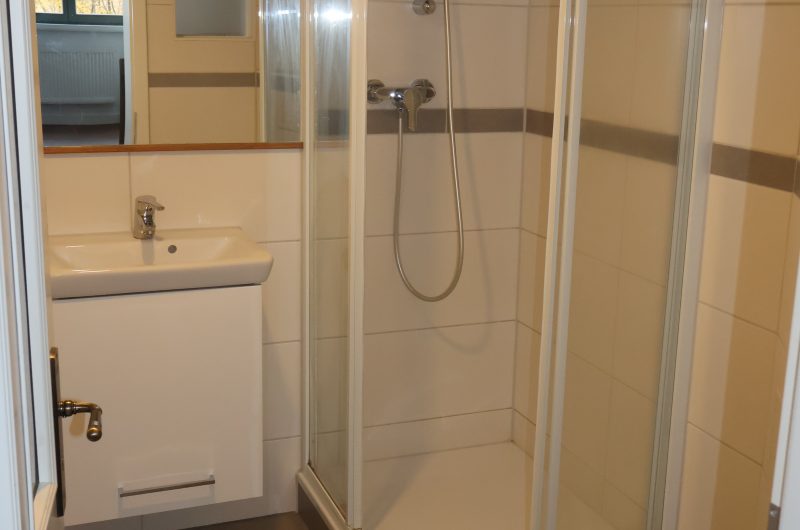 Modernes Badezimmer der 46m² Mietwohnung Lorenzer Straße 23 mit Dusche.
