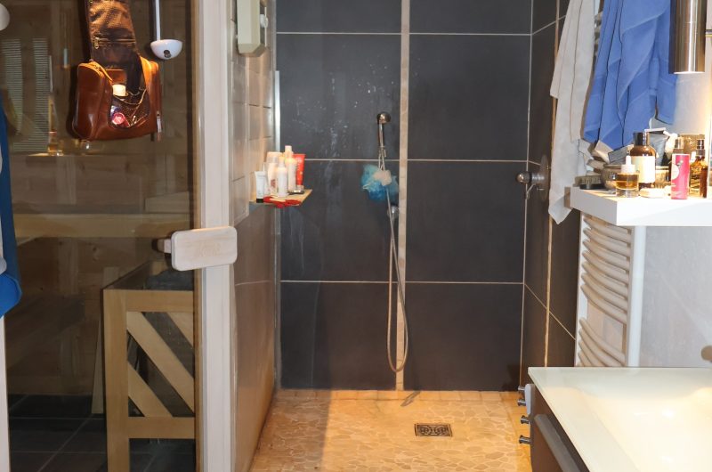 Saunabereich im Loft in Dietenhofen