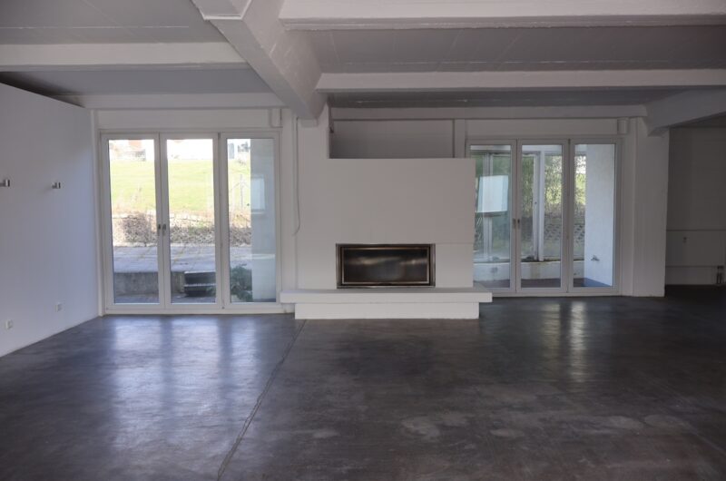 Erdgeschoss-Kamin-Loft