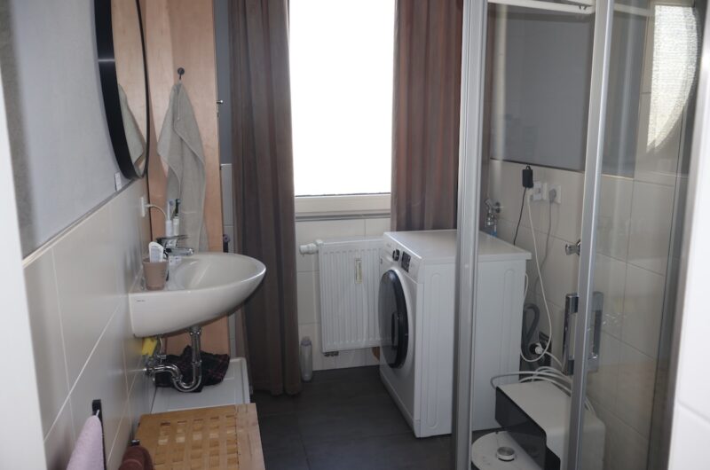 Modernes Badezimmer mit Fenster, Glasdusche und Waschmaschinenanschluss