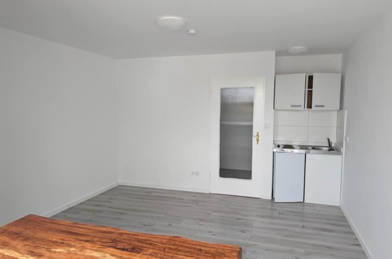 1 Zimmer Apartment mit Pantryküche mieten Nürnberg