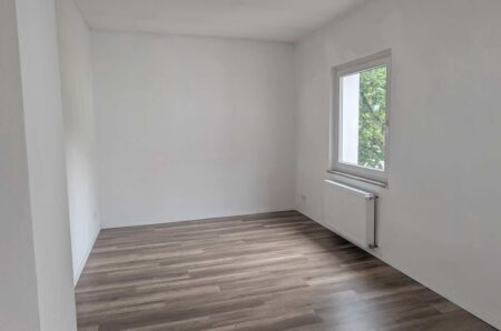Helles Wohnzimmer mit Laminatboden in einer 2-Zimmer-Mietwohnung in Nürnberg